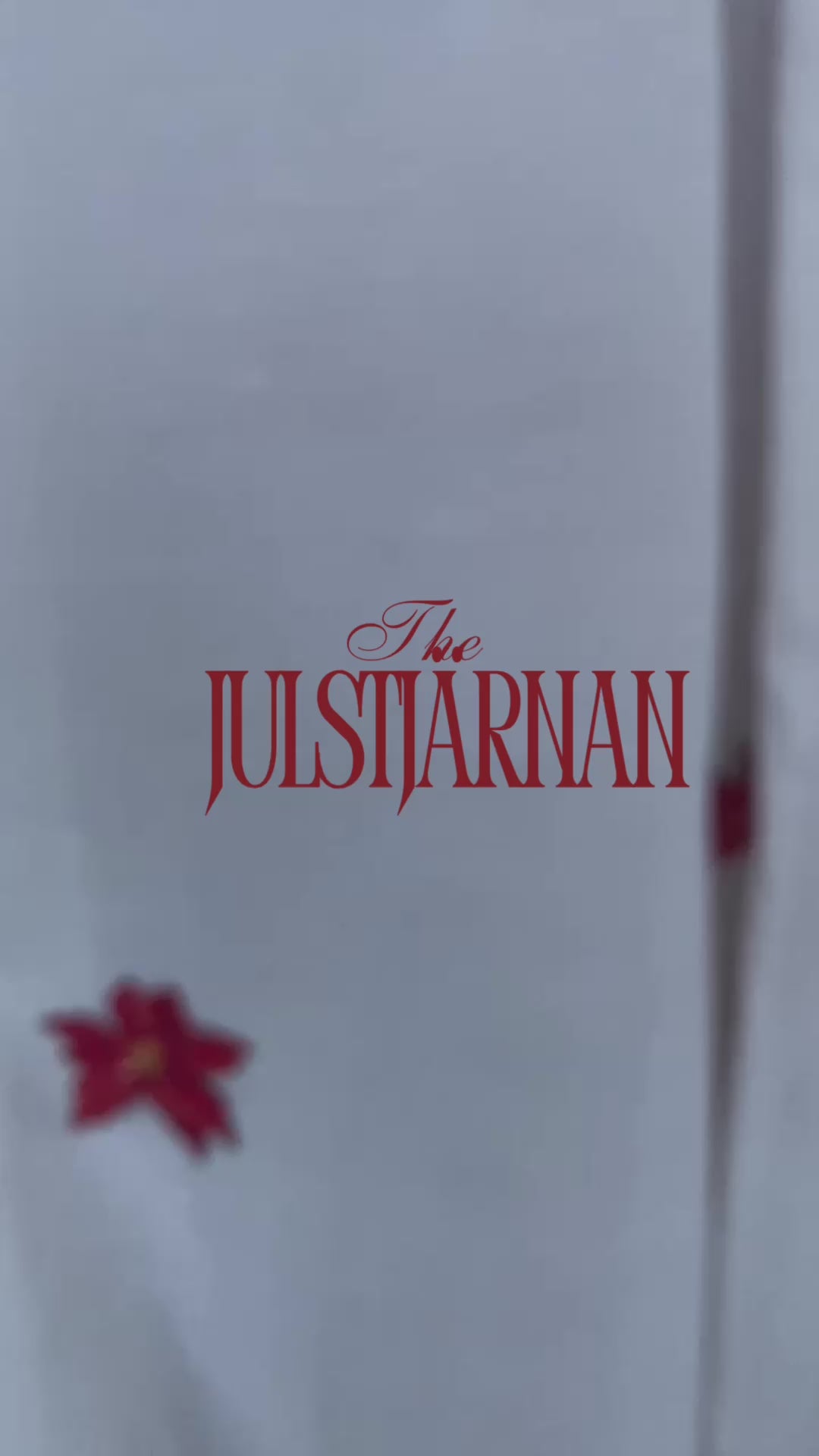 Gardinmagneter - Julstjärnan